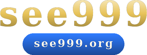 see999 logo